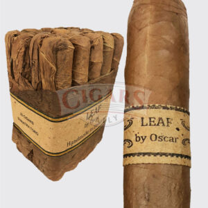 Leaf by Oscar Sumatra Image.