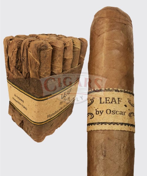 Leaf by Oscar Sumatra Image.