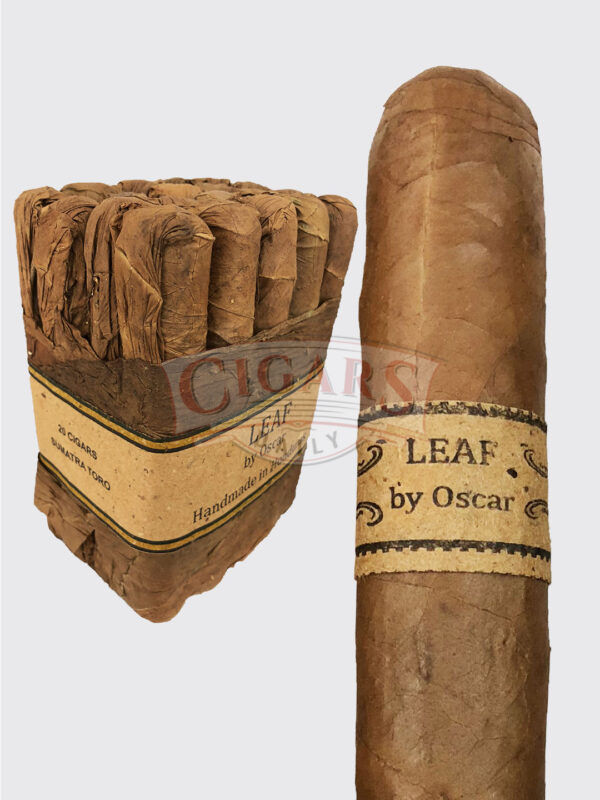 Leaf by Oscar Sumatra Image.