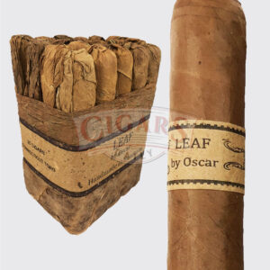 Leaf by Oscar Connecticut Toro Image.