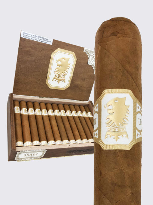 Undercrown Shade image.