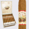 New World Connecticut Robusto image.