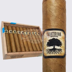 Foundation's Charter Oak Shade Toro