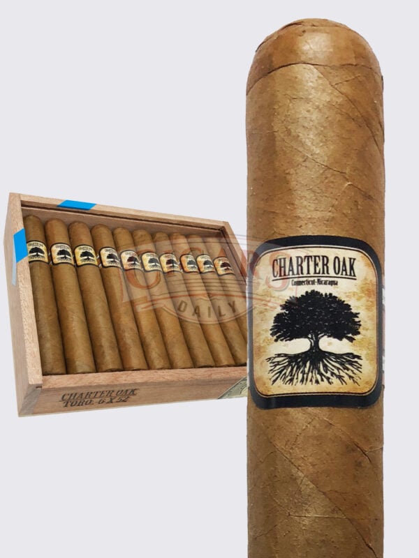 Foundation's Charter Oak Shade Toro