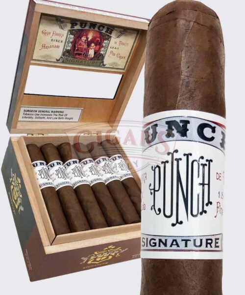 Punch Signature Rothschild