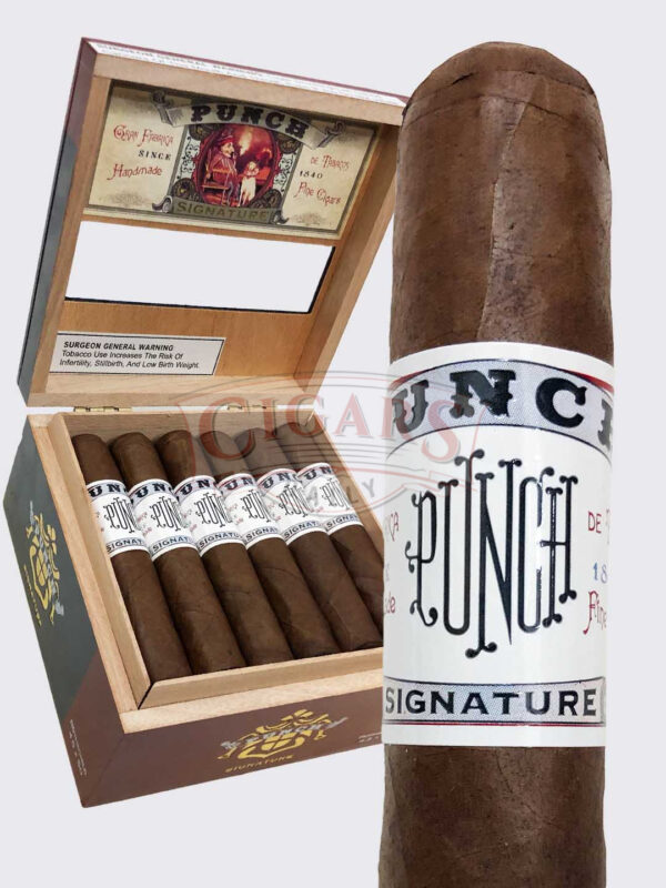 Punch Signature Rothschild