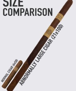 Woody Size Comparison
