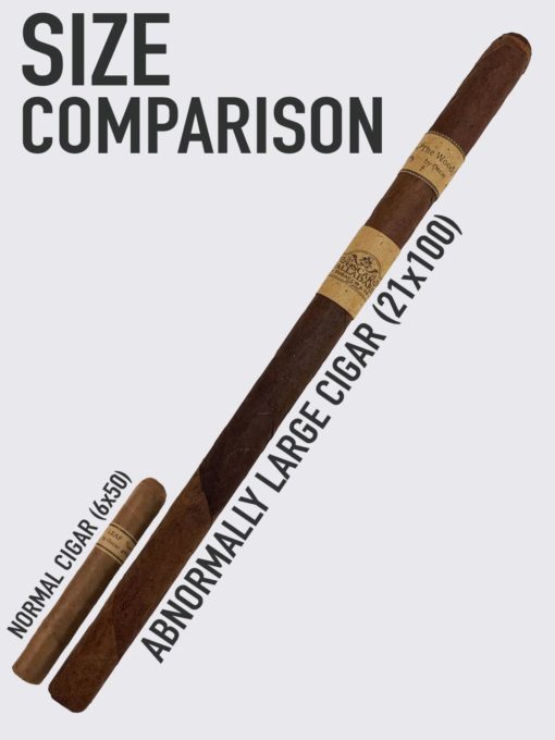 Woody Size Comparison