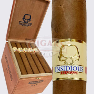 Asylum Insidious Connecticut Gordo (7x64)