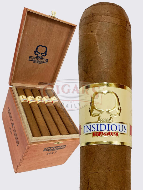 Asylum Insidious Connecticut Gordo (7x64)