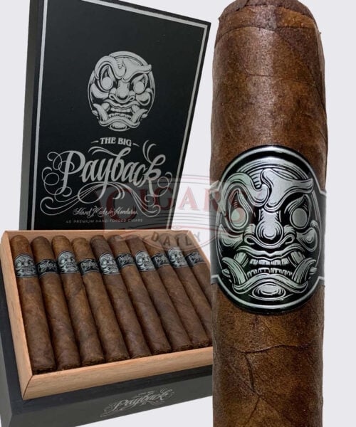 Room101 Big Payback Maduro Toro (6x54)