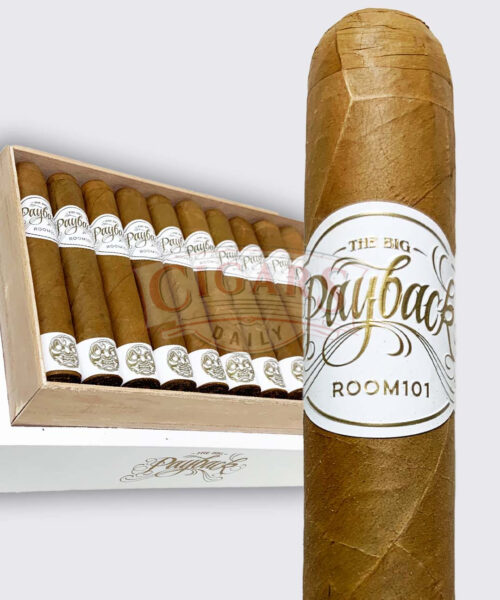 Room101 Big Payback Connecticut Robusto (5.25x50)