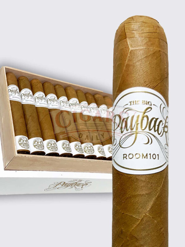 Room101 Big Payback Connecticut Robusto (5.25x50)