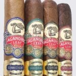 Aladino Gorbusto Gori (4.5x60)