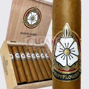Mayflower Dawn Toro (6x54)