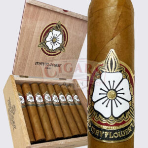 Room101 Hit & Run Robusto (5x50)