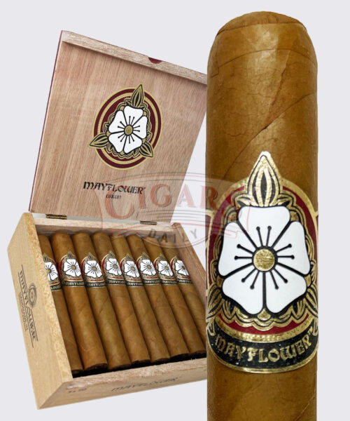 Mayflower Dawn Robusto (5x50)