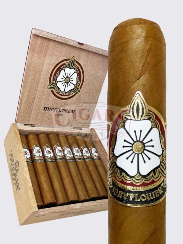 Mayflower Dawn Robusto (5x50)