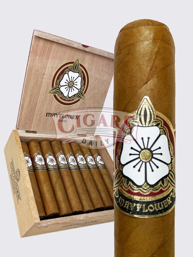Cigars Daily