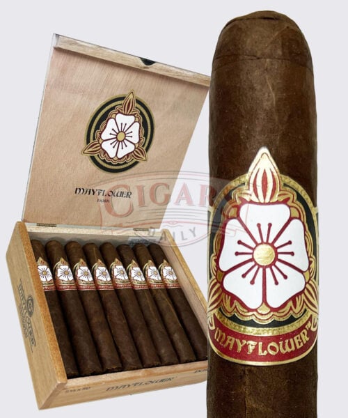 e71927c2-2453-4230-b4a2-a0495f1895b2.jpeg Mayflower Dusk Robusto (5.5x50)