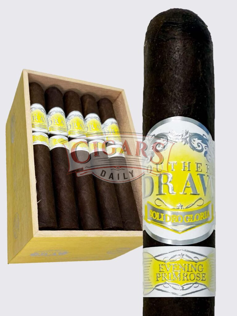 Cigars Daily