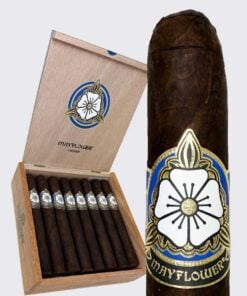 Mayflower Dream Robusto (5.5x50)