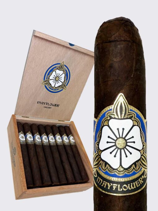 Mayflower Dream Robusto (5.5x50)