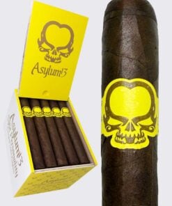 Asylum Split Personality Robusto (5x50)