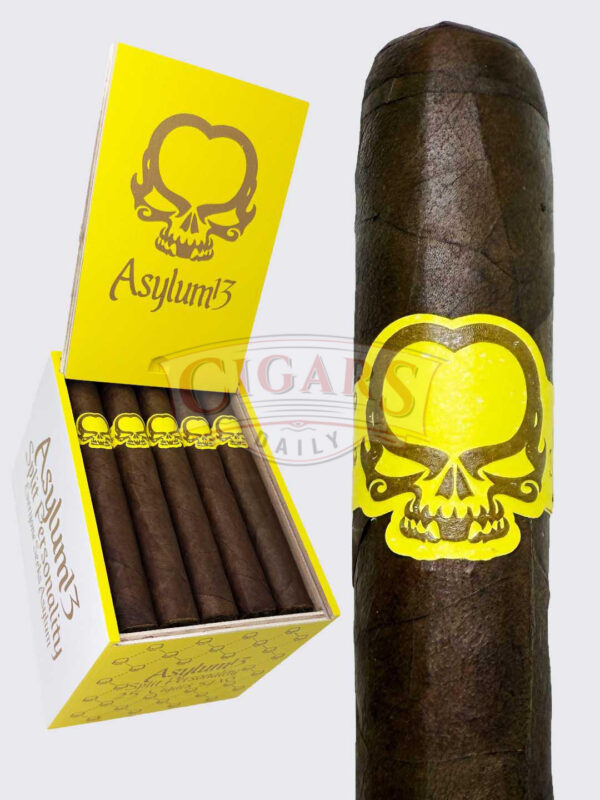 Asylum Split Personality Robusto (5x50) F