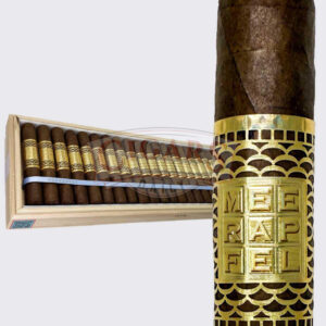 Asylum 13 Medulla Maduro Robusto (5x50)