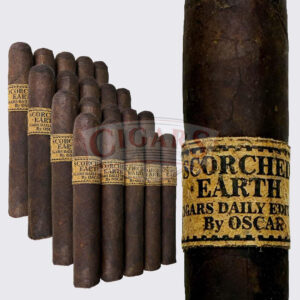 Deadwood Fat Bottom Betty Toro (6x50)