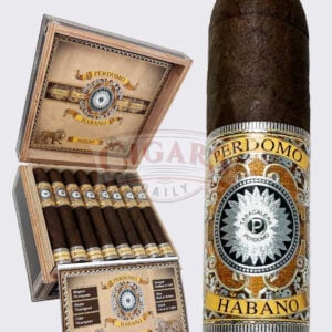 AJ Fernandez New World Cameroon Toro (6x50)