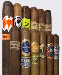 12 Dailys of Christmas Exclusive Variety Sampler