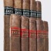 Drew Estate Java Dueling 10 Cigar Combo