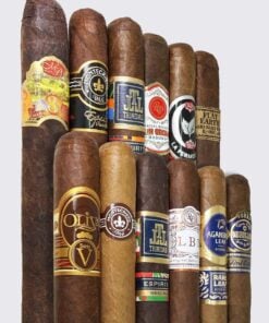 Cigars Daily Spring Smoking 12 Cigar Sampler