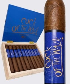 Blackbird Cock of the Walk Daily Edition Toro (6x52)