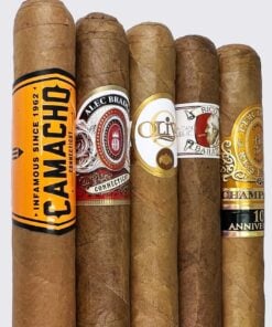 Alternative view of Beginner's Collection Sampler No. 2 (5-Pack)