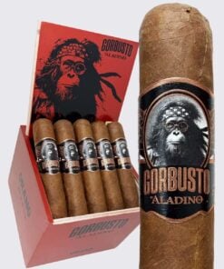 Aladino Gorbusto Orang (4.5x60)