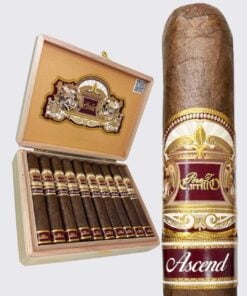 Casa Carrillo Ascend Saddle (5x52)
