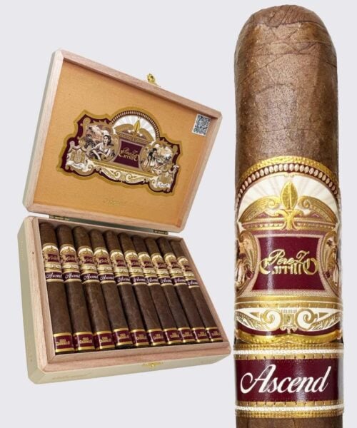 8737018e-38a3-4ade-904c-0516a393148c.jpeg Casa Carrillo Ascend Saddle (5x52)
