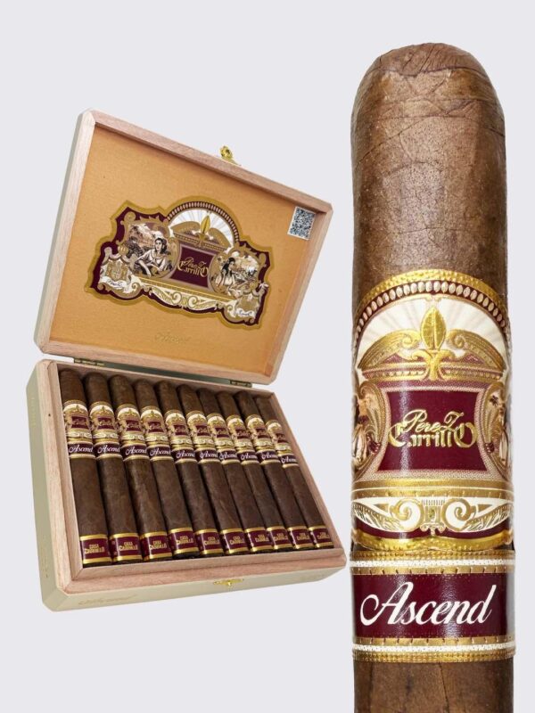Casa Carrillo Ascend Saddle (5x52)